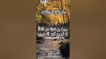 تلاوة رائعة الشيخ محمود الشحات انور سورة يوسف