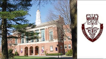 Evidence Based Practice: Four Clinical Specialists Describe Their Real-World Projects