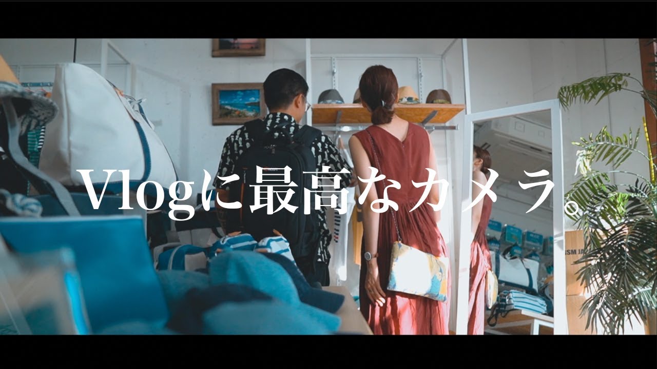 Vlog用カメラ】α6400を約半年、動画機として使用したレビュー