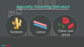 Acids Bases and Salts Class 7 Science - Turmeric as a Natural Indicator