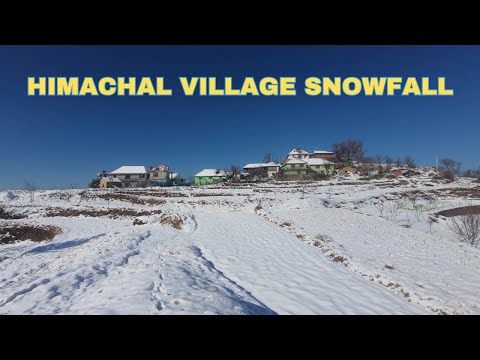 Snowfall in Himachal, Himachal Village Life @apnahimachaltv