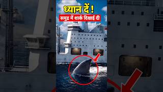 Jab Whale Ne Boat Rok Di… 😨 #oceanlife #whalefact#animals #wildlife