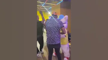 القطة ميدو أنا عايز اهرب 