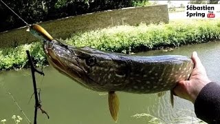 Pêche du brochet au crankbait dans le canal du Berry [GoPro]