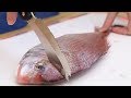 【どんな魚も】簡単に３枚おろし「サカナイフ」【これ一本】