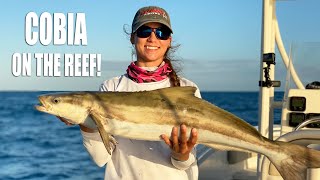 COBIA ON THE REEF⁉️! 🌊🐡 Florida Keys Reef Fishing - Snapper, Kingfish & Cobia | Gale Force Twins
