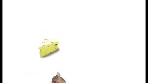 Arduino Analog Input with Potentiometer to Processing Game