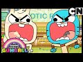 The incredible world of chi chi  the copycats  gumball  cartoon network