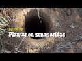 Desertificación - 8/9 - Plantar árboles en zonas áridas