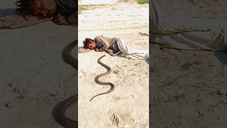 Jagga Jogi Attack The Snake