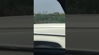 G-Wagon Vs Porsche Race Clash Of Ans On Crowded Roads