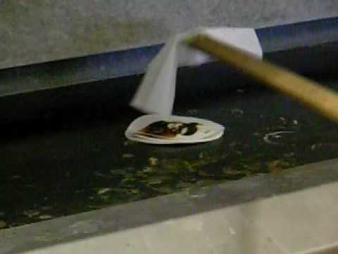 Nitrogen Triiodide