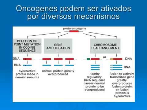 Vídeo: Interações Tumor-estromais: Integrinas E Aderências Celulares Como Moduladores Da Sobrevivência E Transformação Celular Mamária