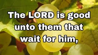 To the soul that seeketh him. LAMENTATIONS 3:25 PSALMS 130:6