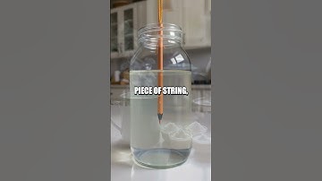 Homemade Crystal Snow Experiment