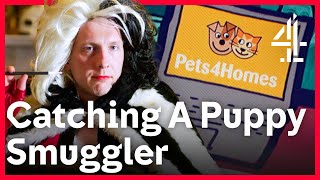 Joe Lycett EXPOSES Illegal Puppy Traders | Joe Lycett's Got Your Back