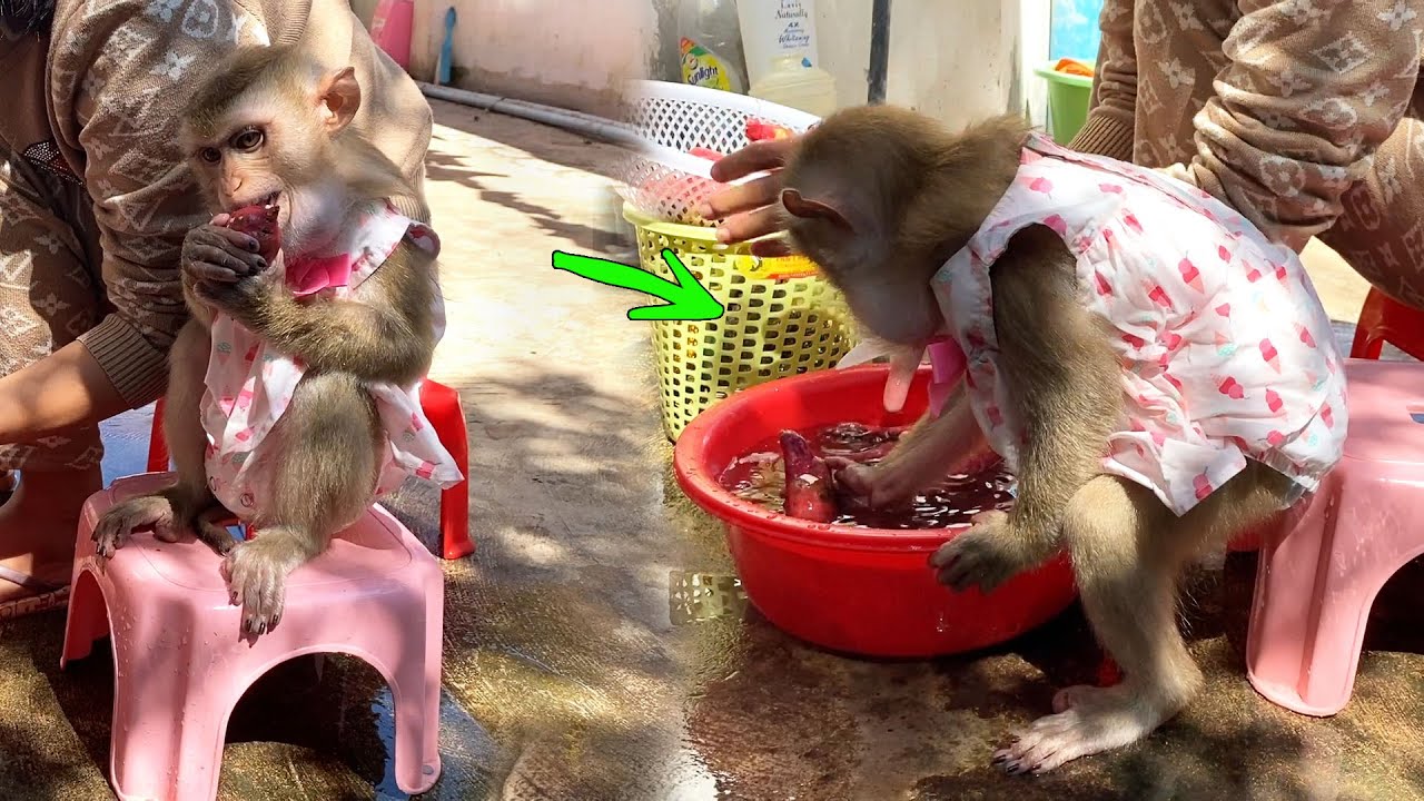 Hurry Jaila Can't Wait Mom, Clean 1 Potato To Eat By HerSelf