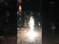 #happydiwali #kolhapur #animals