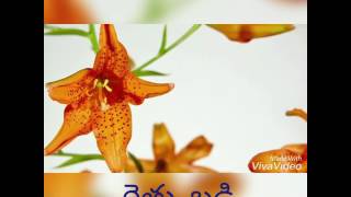 Somu VDR Raitu badi. Aaaaa