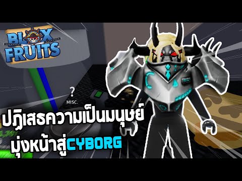 Roblox : Blox Fruits เผ่าใหม่สำหรับคนชอบแทงค์!