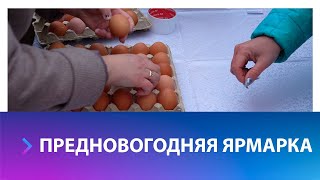 Куриные яйца по низкой цене продают на ярмарках в Ставрополе