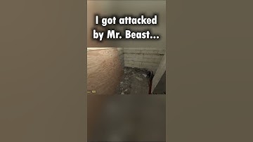 I was attacked by MR BEAST #shorts #nextbot