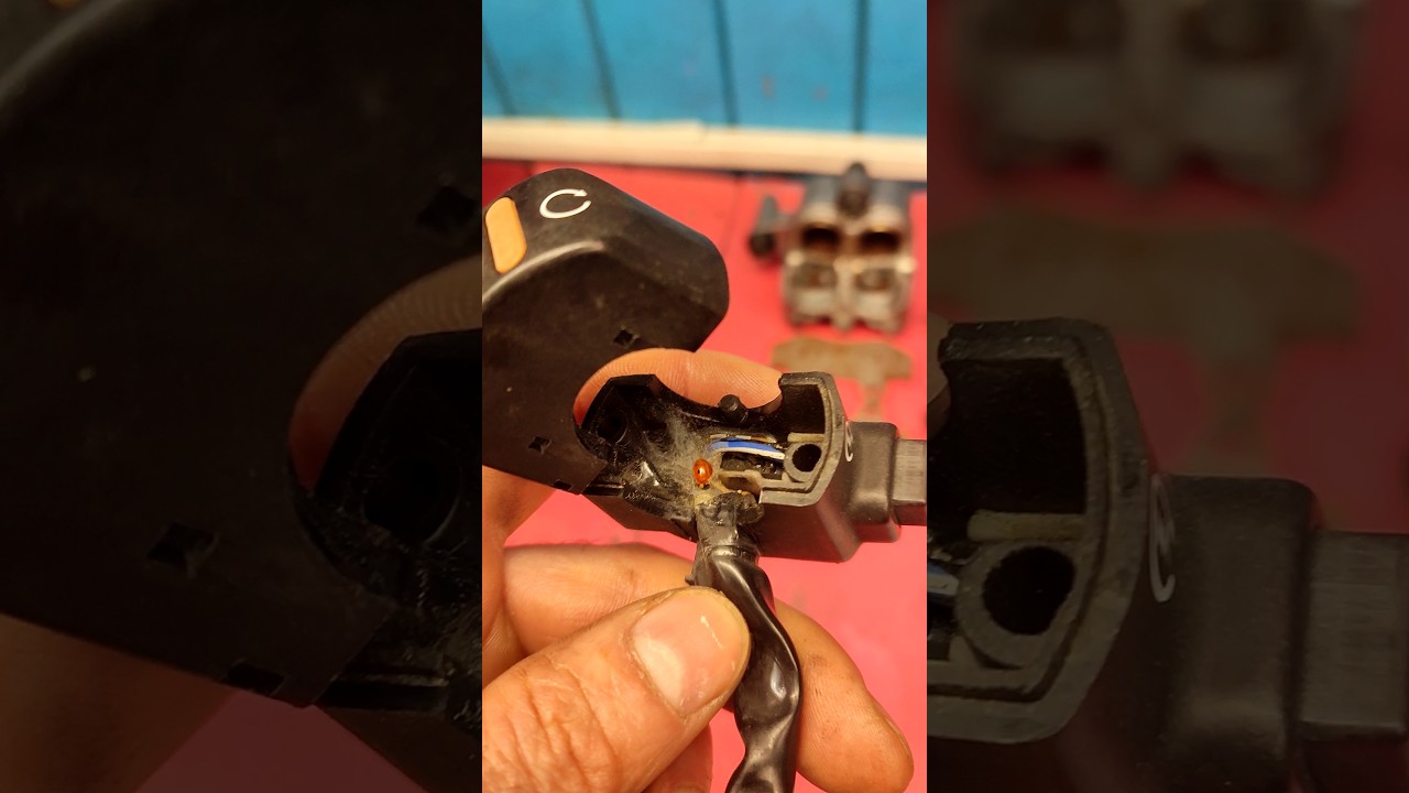 Трагедия сериала Лунтик 