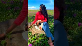 Wait For Itthis Template