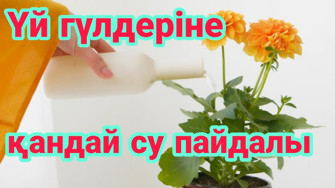 Кеуде мөлшері нөлдік қыздар