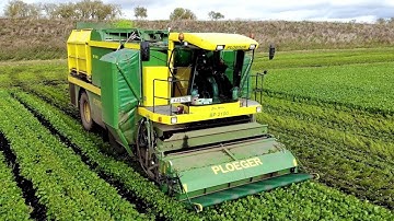 Ploeger BP 2100 & 2140 Viners Harvesting Beans