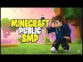 The #1 Minecraft LIFESTEAL SMP Server You Need to Join NOW!