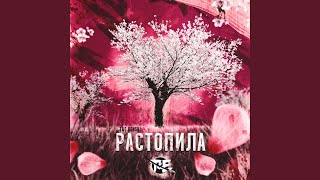 Растопила - T&E Kenshi