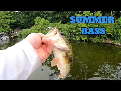 These New Tubes are FIRE for Summer Bass Fishing!!