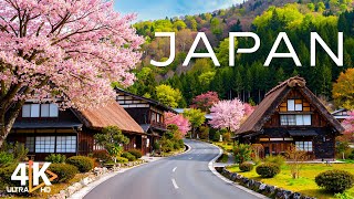 Spring in Japan 4K 🌸 Cherry Blossoms, Himeji Castle, Petal Rivers - Relaxing Piano 4K UHD
