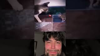 sigma bombastic 5 screenshot 5