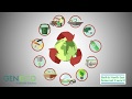 Food waste recycling - creating a circular economy