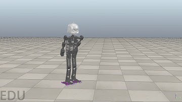 Epirob 2019 Hierachical Bipedal Locomotion with CPGs and Neural Nets