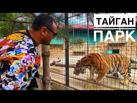 КИДАЛОВО в Тайгане? Показываем что творится в ИЗВЕСТНОМ парке. КРЫМ 2021.