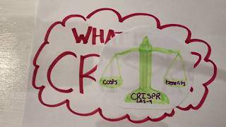 CRISPR- 2019 Breakthrough Junior Challenge
