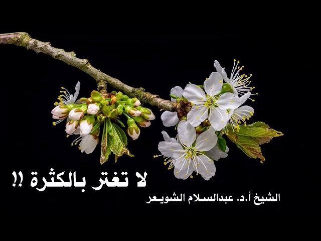 الشيخ أ.د. عبدالسلام الشويعر : لا تغتر بالكثرة !!