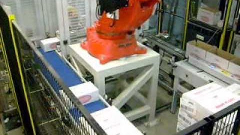 RAVIOLI AND PASTA PACKAGING BY ROBOT AUTOMATION - IMBALLO E PALLETIZZAZIONE CON ROBOT IN SCATOLE