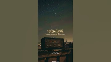 سورة الشعراء بصوت القارئ محمود رمضان #قرآن #قران_كريم #القرآن_الكريم #السعودية #السعوديه #اكسبلور