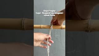 Simpul Pangkal #belajarbareng #shorts