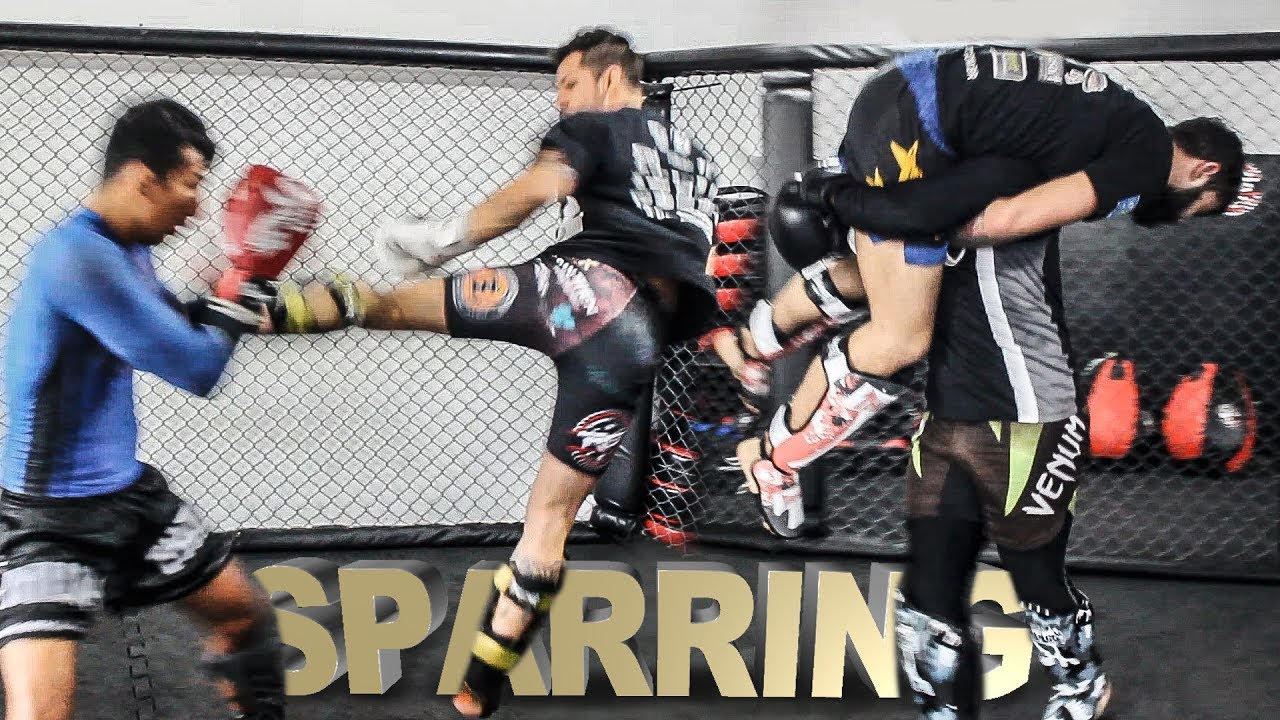 SPARRING DE 80 000 MIL INSCRITOS cfxsports YouTube sparring-de-80-000-mil-inscritos-cfxsports-youtube