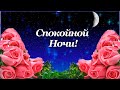 Спокойной Тебе Ночи! Пусть сладко тебе спится! Пусть всё, что ты захочешь, в ночи тебе приснится! ⭐🌙