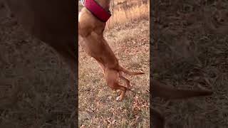 Stan The Man Frame With Andy Capp Size & Markings