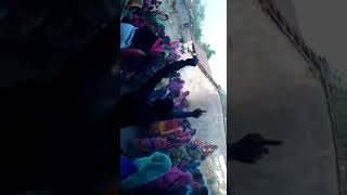Desi timli sagvada