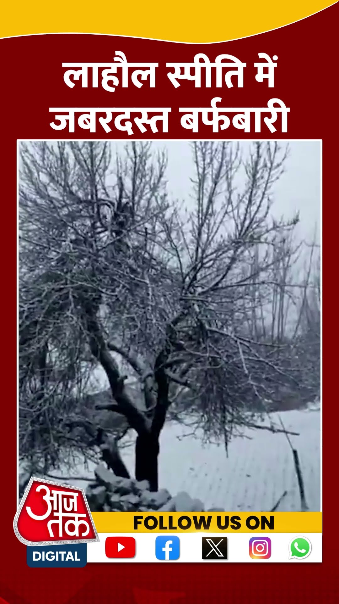 Himachal के लाहौल स्पीति में जबरदस्त बर्फबारी #shorts #shortsvideo #himachalpradesh