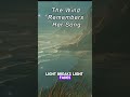 The Wind Remembers her Song #shorts #short #irishmusic #celticmusic