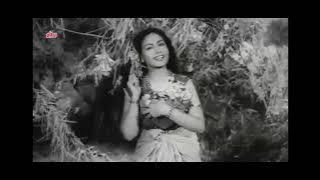 1951-Laxmi Narayan-02-Video-GeetaRoy-Gayi Birha Ki Raat Aaya Hai Naya Prabhat - Meena Kumari,